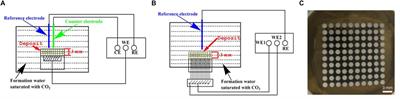 Microbiologically Influenced Corrosion of Carbon Steel Beneath a Deposit in CO2-Saturated Formation Water Containing Desulfotomaculum nigrificans